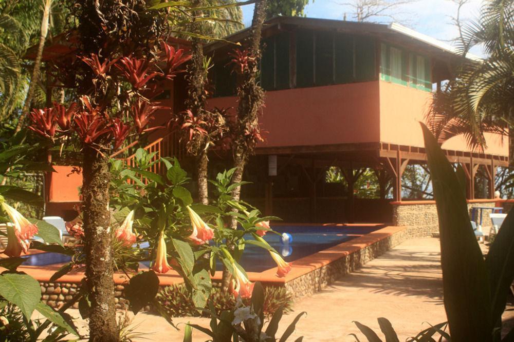 Отель Perla Negra Puerto Viejo de Talamanca Экстерьер фото